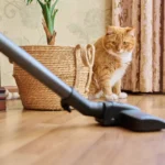 [Aggregator] Downloaded image for imported item #146545