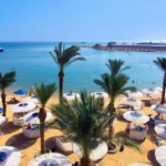 [Aggregator] Downloaded image for imported item #147320