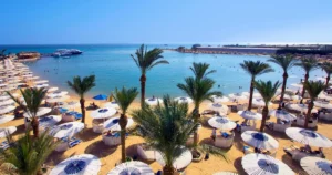 [Aggregator] Downloaded image for imported item #147320