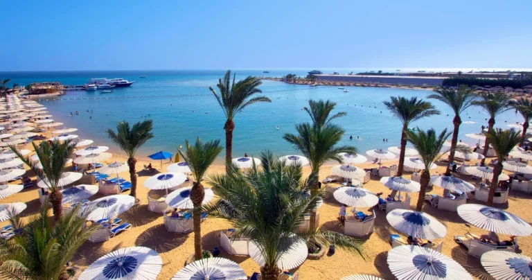 [Aggregator] Downloaded image for imported item #147320