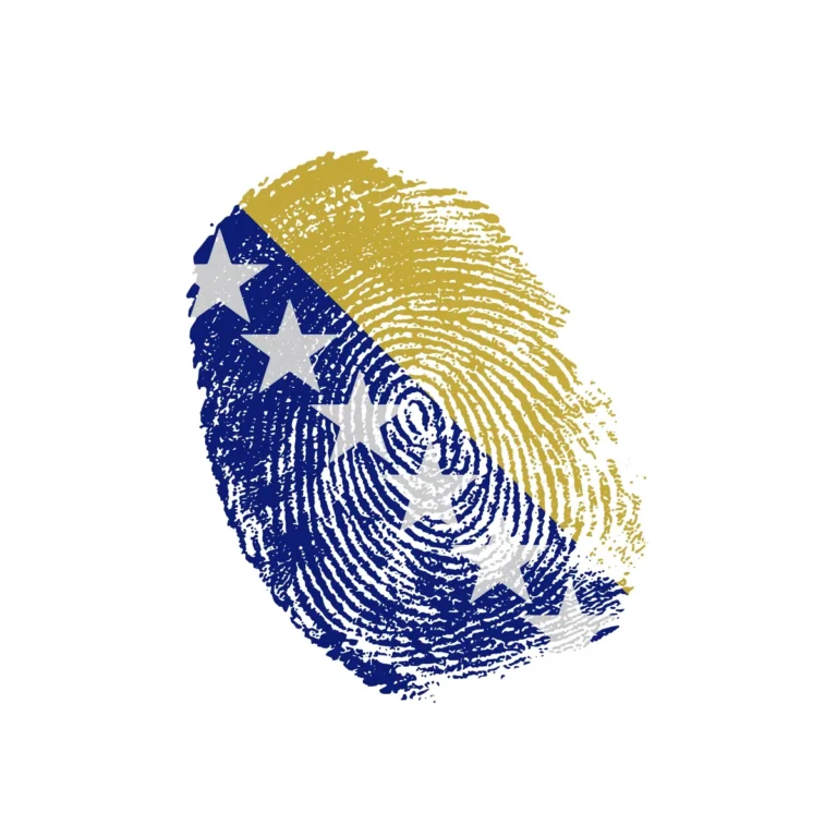 [Aggregator] Downloaded image for imported item #146706