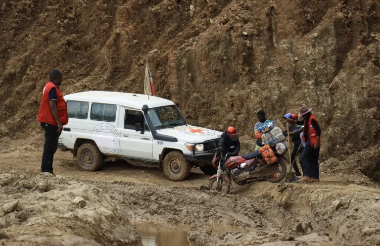 [Aggregator] Downloaded image for imported item #146672