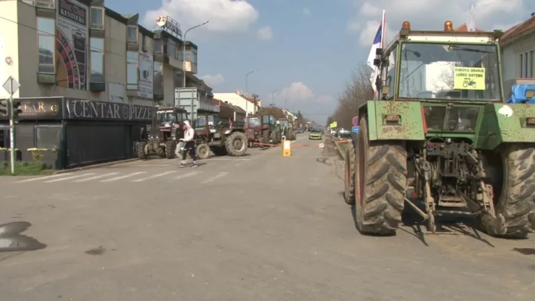 [Aggregator] Downloaded image for imported item #146625