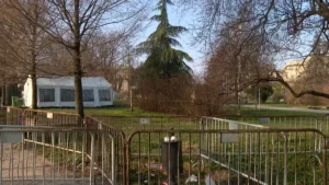 [Aggregator] Downloaded image for imported item #147366