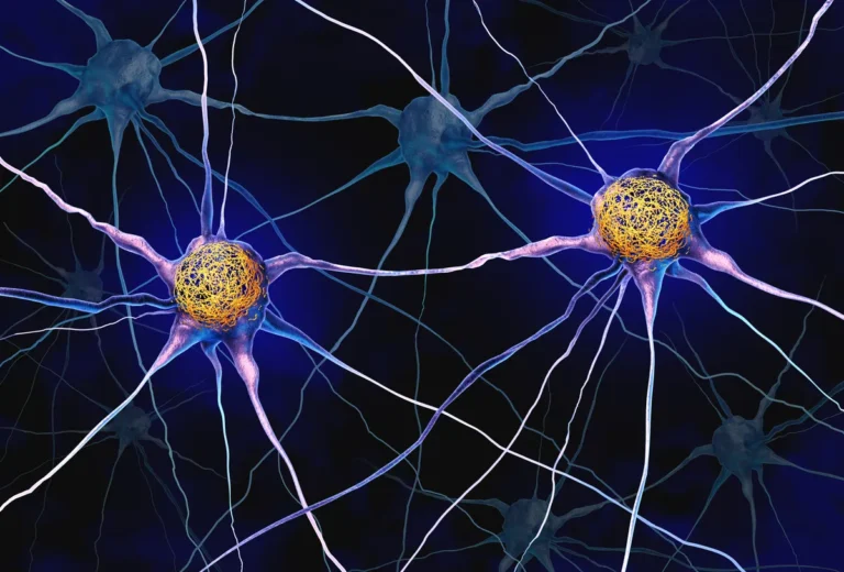 [Aggregator] Downloaded image for imported item #147597