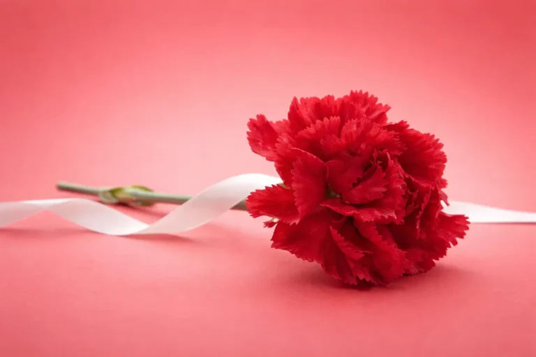 [Aggregator] Downloaded image for imported item #148213