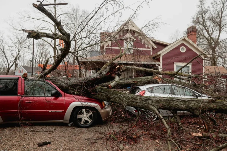 [Aggregator] Downloaded image for imported item #148012