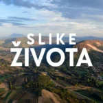 [Aggregator] Downloaded image for imported item #148706