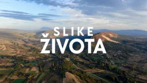 [Aggregator] Downloaded image for imported item #148706