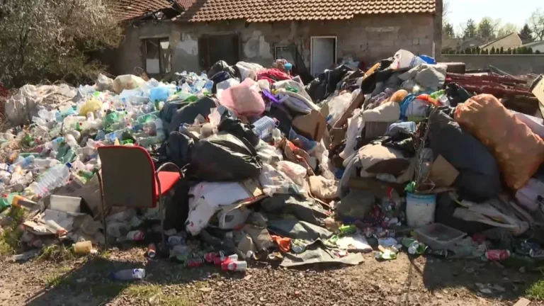 [Aggregator] Downloaded image for imported item #148644