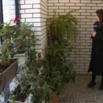 [Aggregator] Downloaded image for imported item #149115