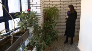 [Aggregator] Downloaded image for imported item #149115