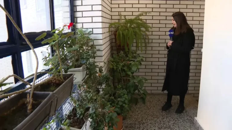 [Aggregator] Downloaded image for imported item #149115