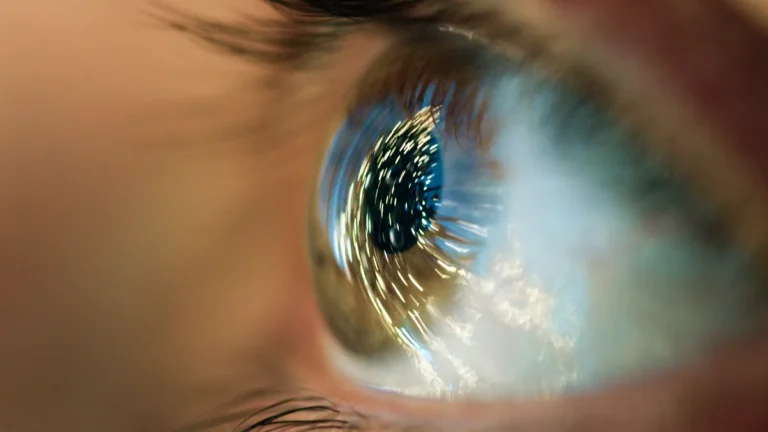 [Aggregator] Downloaded image for imported item #149982