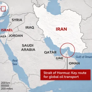 [Aggregator] Downloaded image for imported item #149830