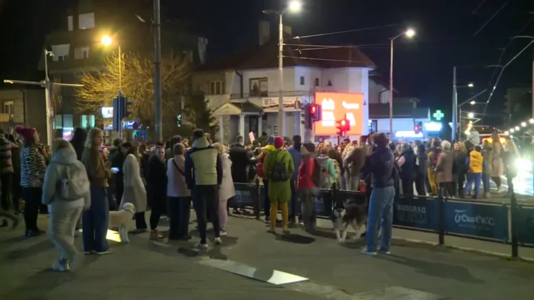 [Aggregator] Downloaded image for imported item #149855