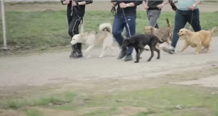 [Aggregator] Downloaded image for imported item #150186