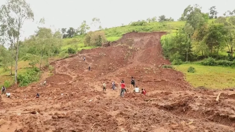 [Aggregator] Downloaded image for imported item #150491