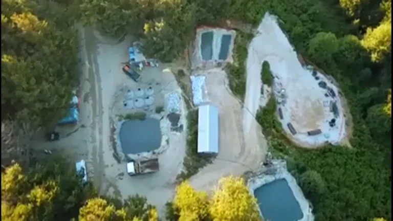 [Aggregator] Downloaded image for imported item #151438