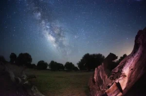 [Aggregator] Downloaded image for imported item #152895