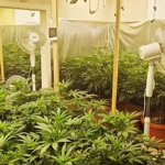 [Aggregator] Downloaded image for imported item #151883