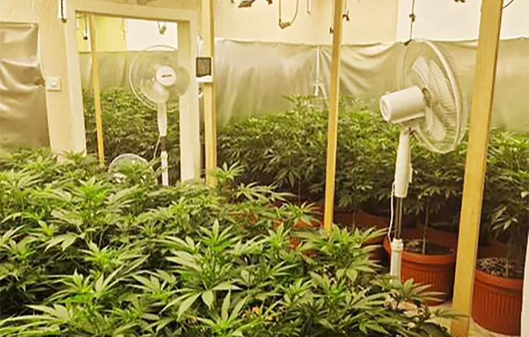 [Aggregator] Downloaded image for imported item #151883