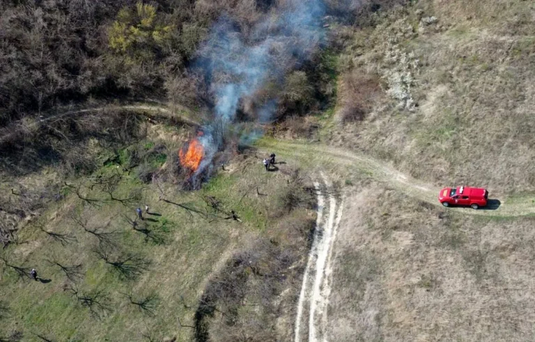 [Aggregator] Downloaded image for imported item #152150