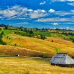 [Aggregator] Downloaded image for imported item #152381