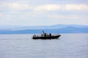 [Aggregator] Downloaded image for imported item #152411