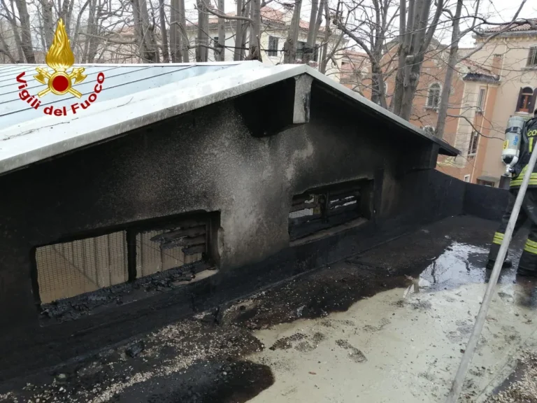 [Aggregator] Downloaded image for imported item #153003