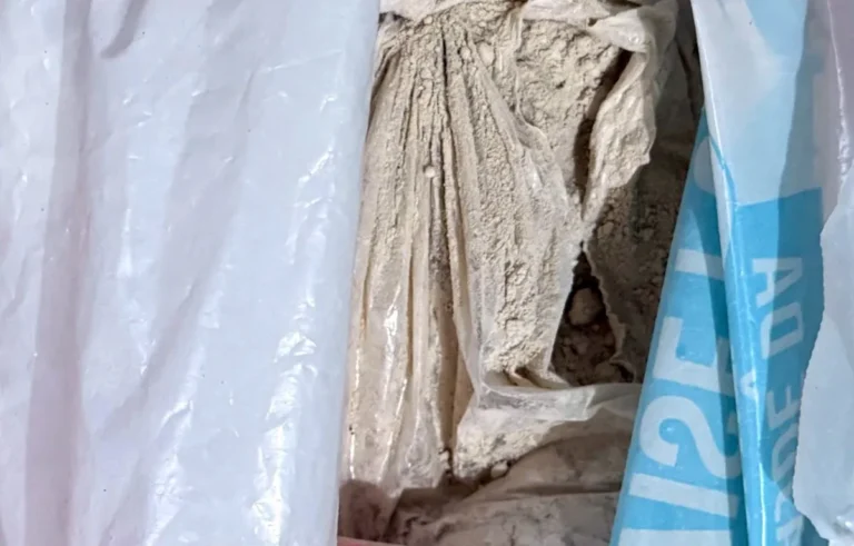 [Aggregator] Downloaded image for imported item #153327