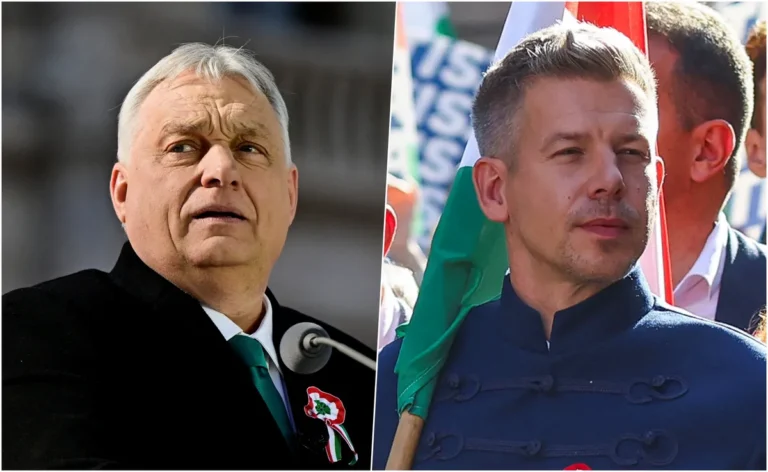 [Aggregator] Downloaded image for imported item #153298