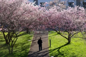 [Aggregator] Downloaded image for imported item #153525