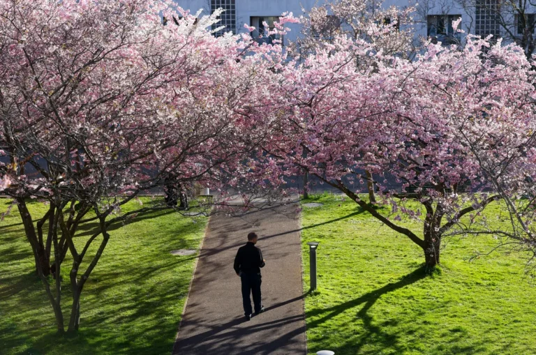 [Aggregator] Downloaded image for imported item #153525