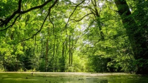 [Aggregator] Downloaded image for imported item #153476