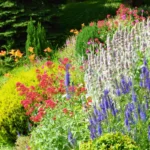 [Aggregator] Downloaded image for imported item #153887