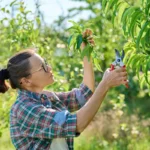 [Aggregator] Downloaded image for imported item #155121