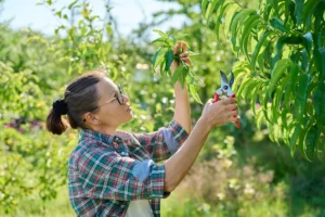 [Aggregator] Downloaded image for imported item #155121