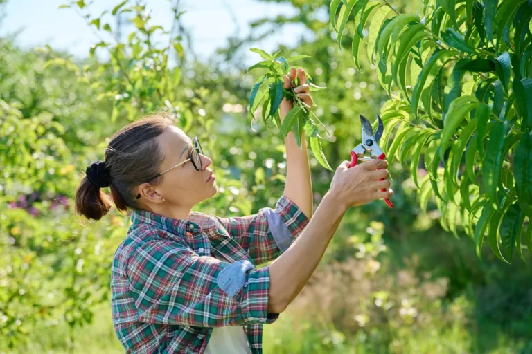 [Aggregator] Downloaded image for imported item #155121