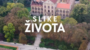 [Aggregator] Downloaded image for imported item #154115