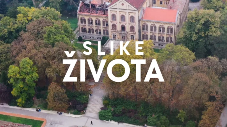 [Aggregator] Downloaded image for imported item #154115