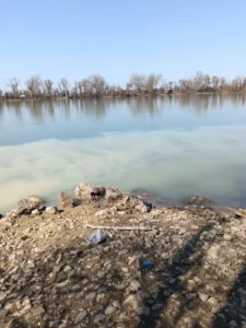 [Aggregator] Downloaded image for imported item #154040