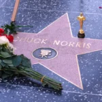 [Aggregator] Downloaded image for imported item #154359