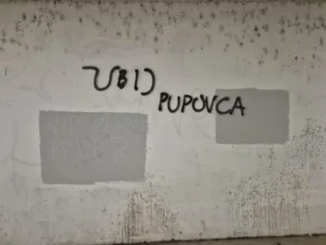 [Aggregator] Downloaded image for imported item #155027