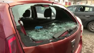 [Aggregator] Downloaded image for imported item #155744