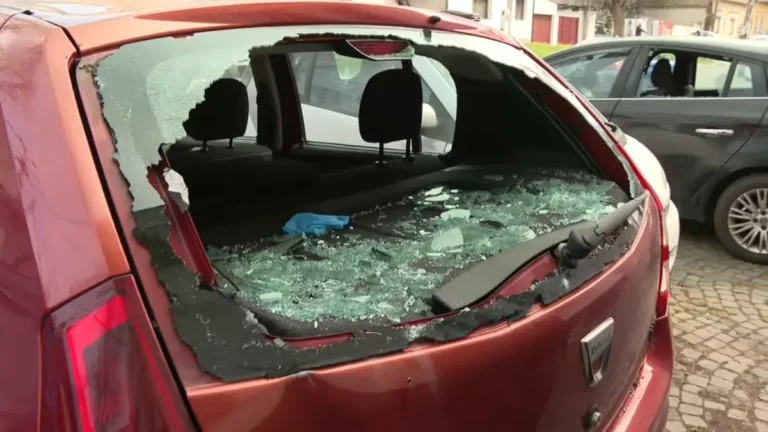 [Aggregator] Downloaded image for imported item #155744