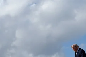 [Aggregator] Downloaded image for imported item #155461