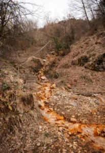 [Aggregator] Downloaded image for imported item #156033