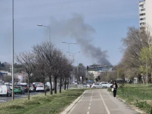 [Aggregator] Downloaded image for imported item #155933