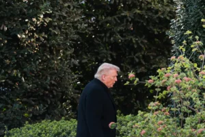 [Aggregator] Downloaded image for imported item #156312